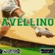 avellinocn24