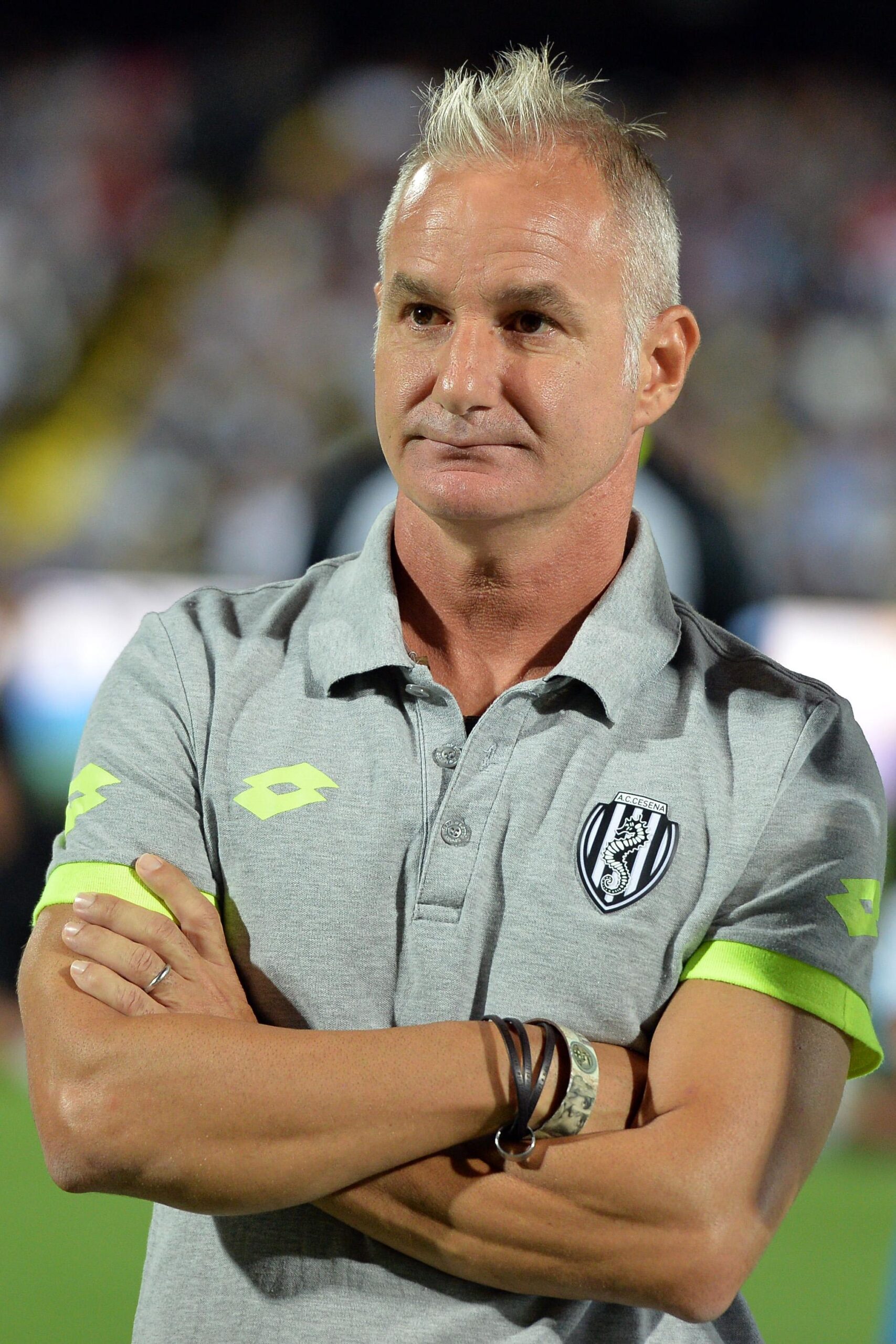 drago cesena settembre 2015 ifa scaled