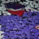 fiorentina tifosi aprile 2016 ifa