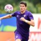 gomez azione fiorentina luglio 2015 ifa