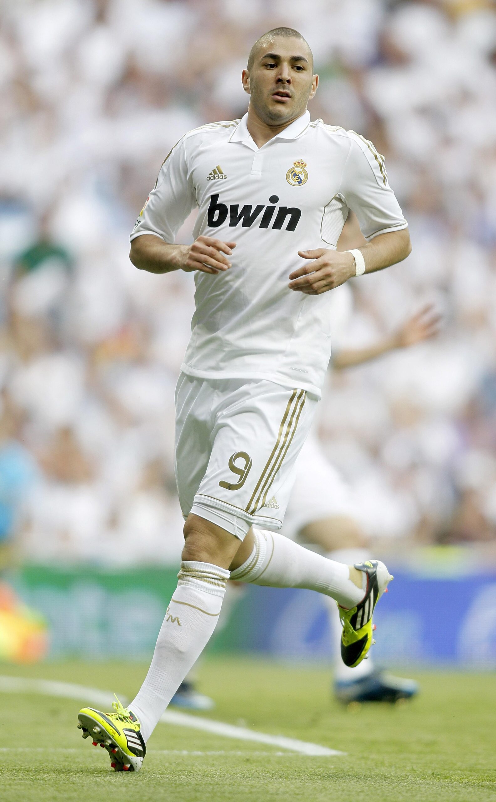 benzemareal ifa scaled