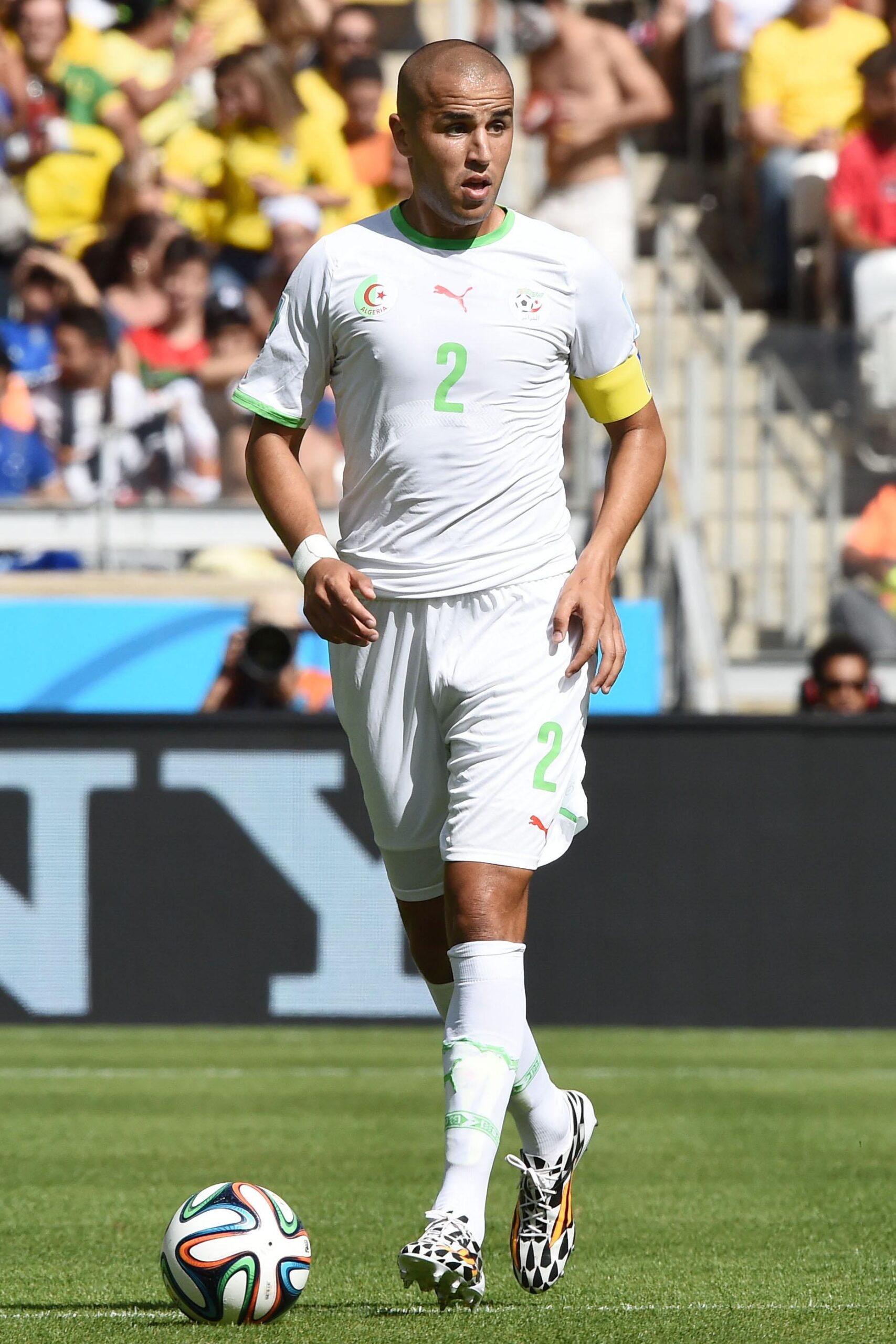 bougherra algeria giugno 2014 ifa scaled