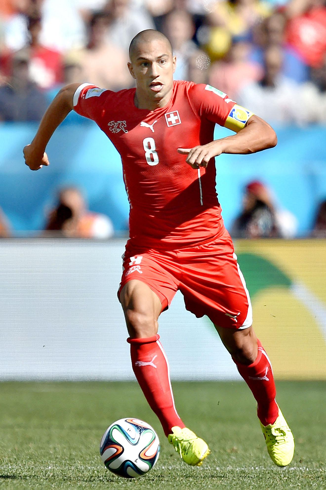 inler svizzera luglio 2014 ifa