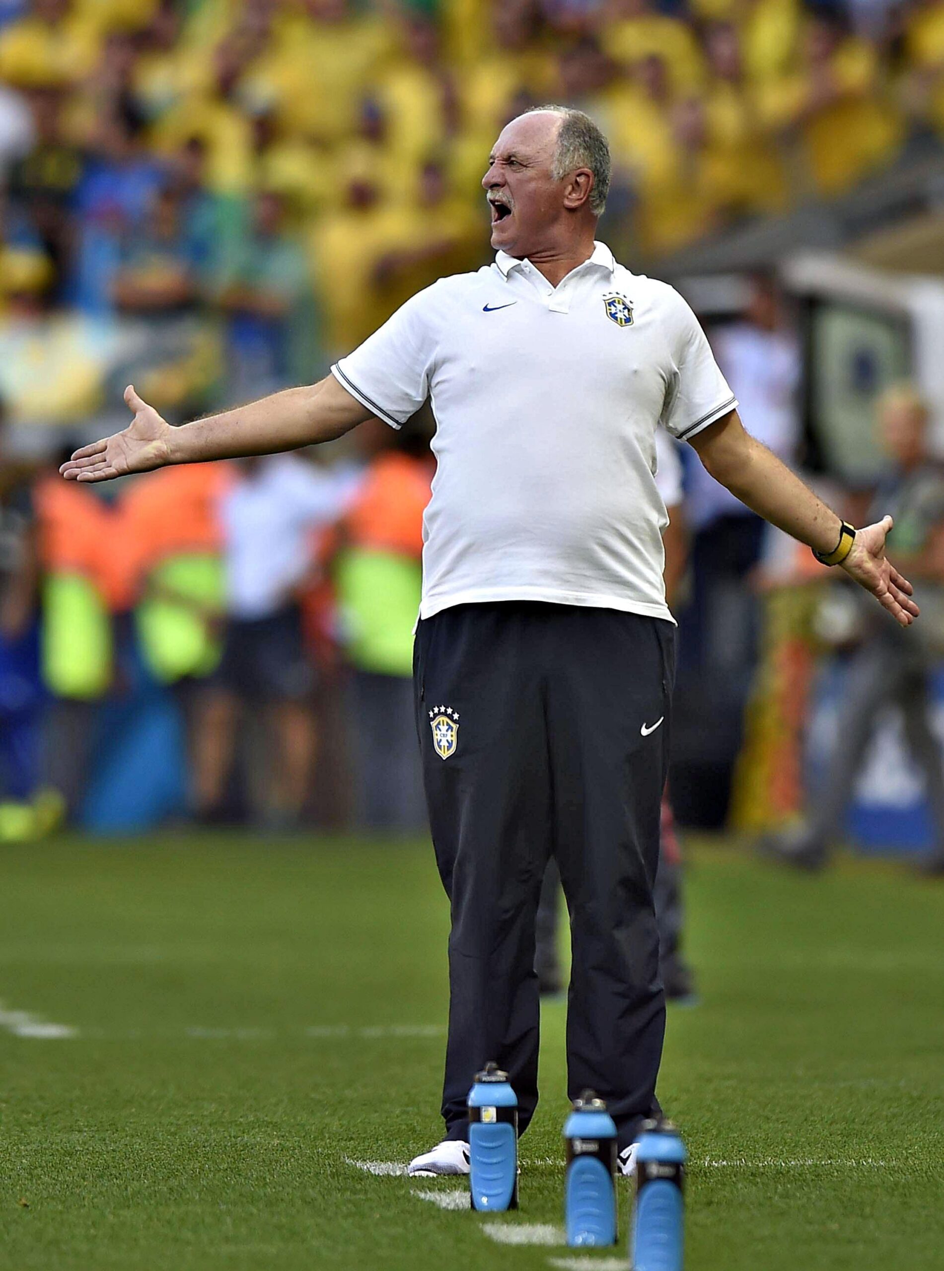scolari incita brasile giugno 2014 ifa scaled