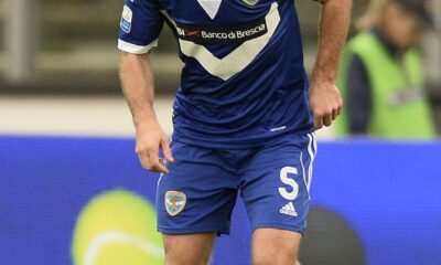 budel brescia 2013 ifa