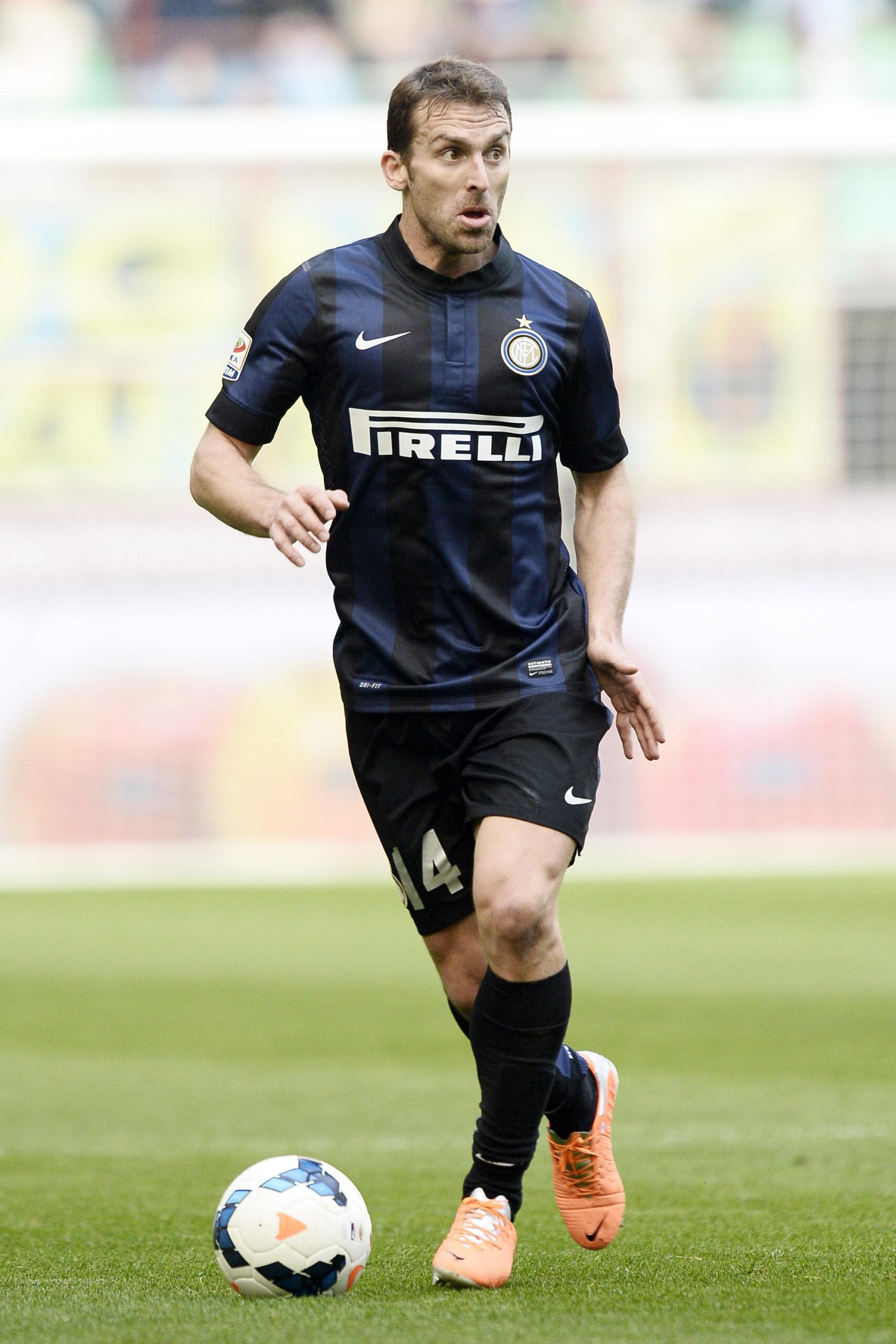 campagnaro azione marzo 2014 ifa scaled