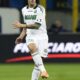 cannavaro azione sassuolo away febbraio 2014 ifa
