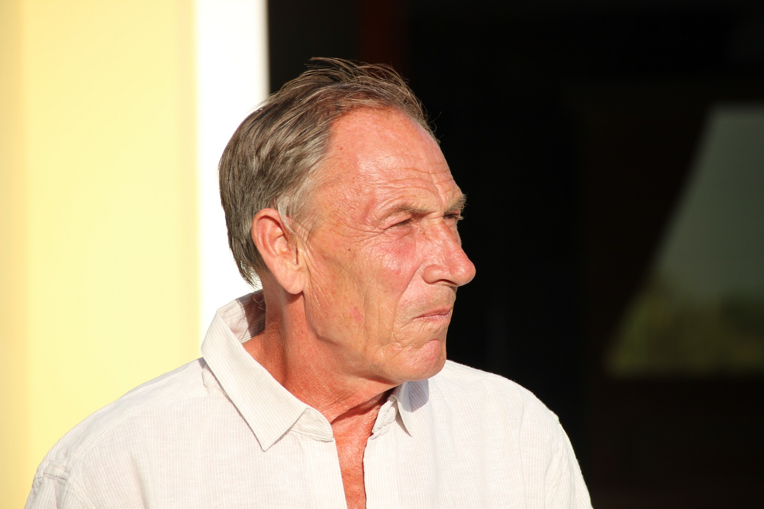 zeman profilo