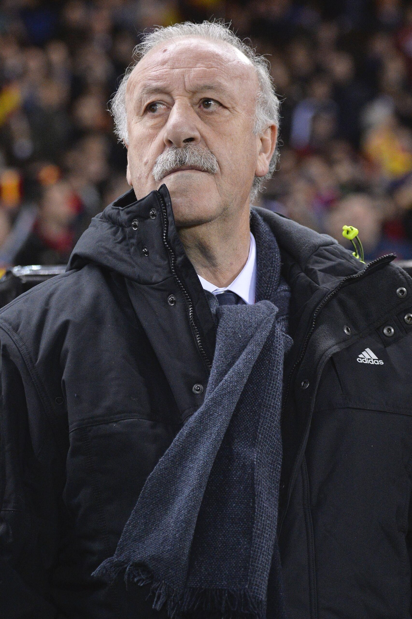 del bosque spagna marzo 2014 ifa scaled