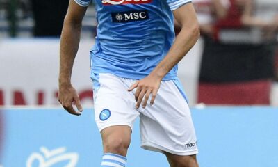 fernandez napoli ifa