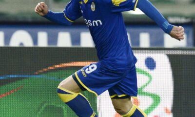 ferrari verona 2013 ifa