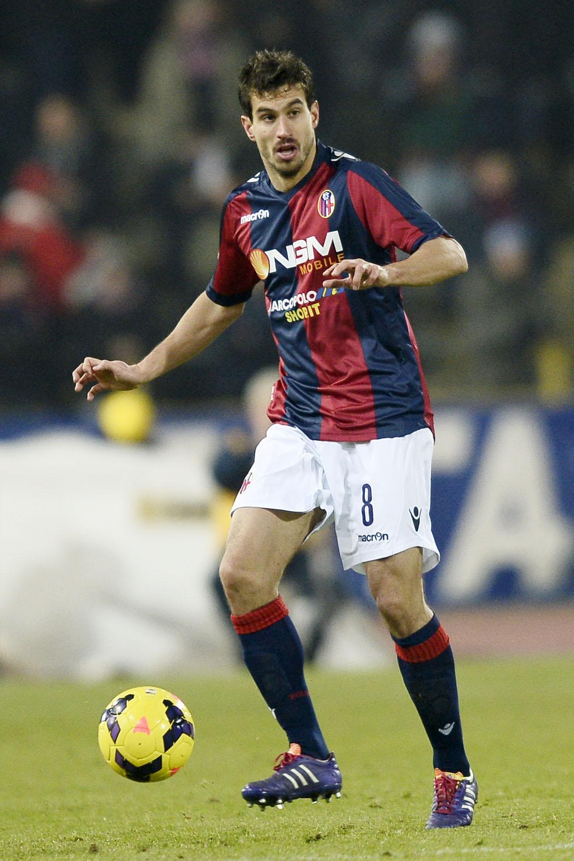 garics azione bologna 2013 ifa