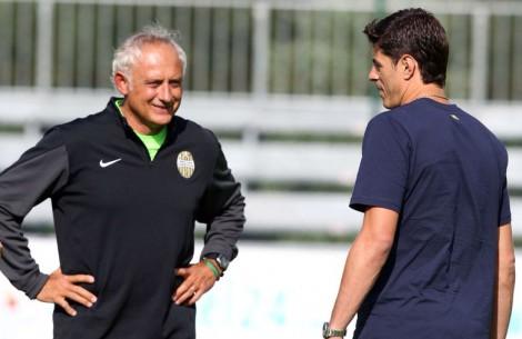 nene mandorlini racines