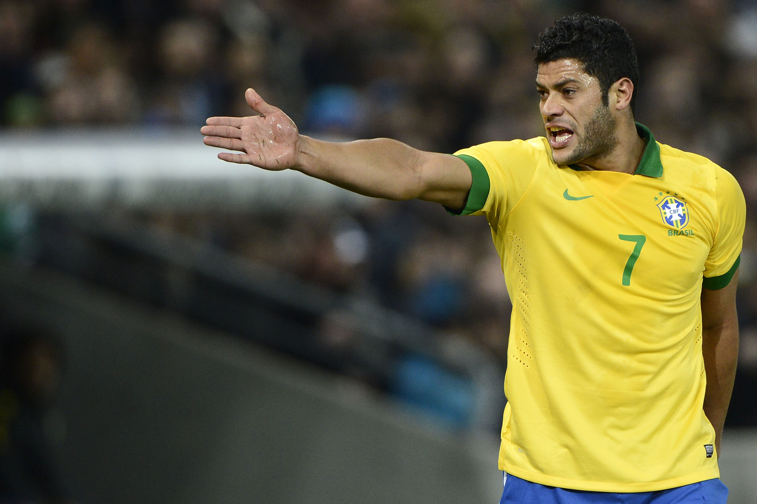 hulk 1 2013 brasile ifa scaled