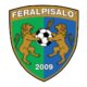 feralpisalo logo