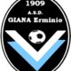 gianaerminio logo