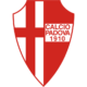 padovacalciologo