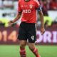 luisao benfica finale europa league maggio 2014 ifa