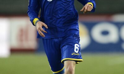 martinho verona 2013 ifa