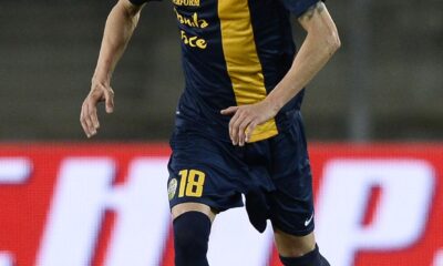 moras azione verona 2013 ifa