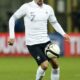 ribery franck francia (azione) ifa