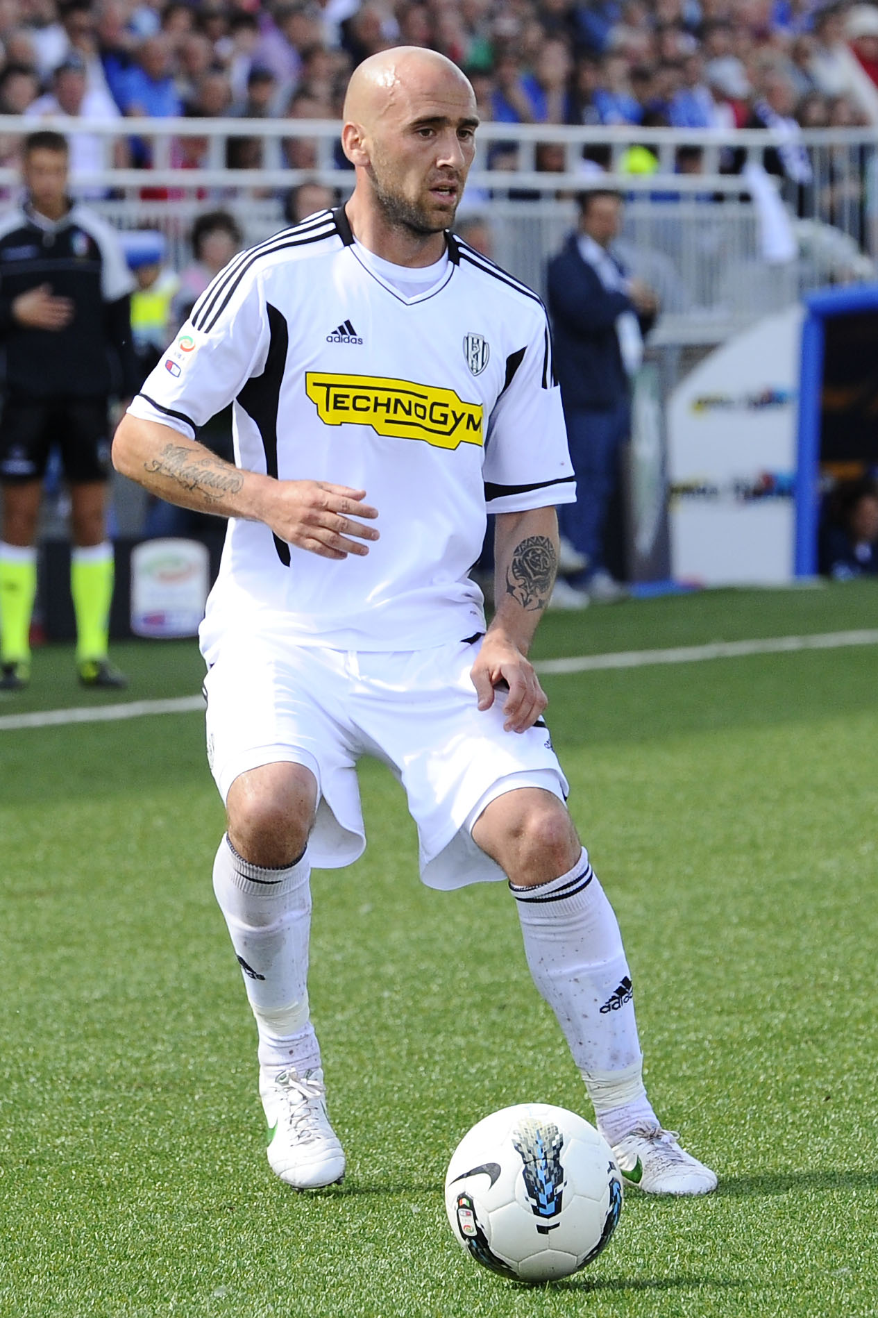 rodriguezguillerme ifa