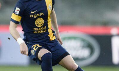 sala verona aprile 2014 ifa