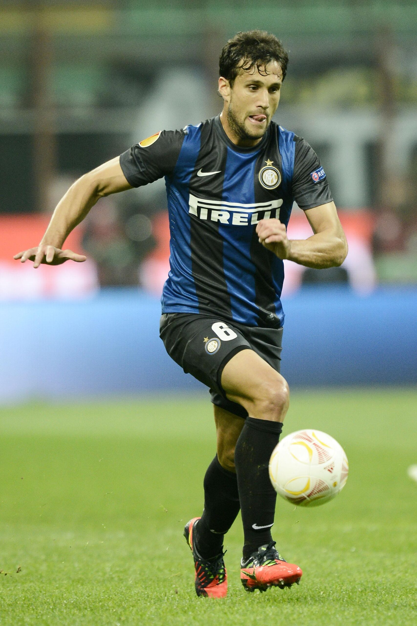 silvestre 2012 casa ifa scaled