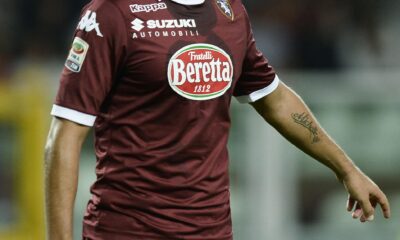 vives torino 2013 ifa